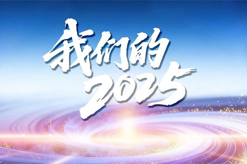 25+AI=？ 神州数码献给2025的特别解答